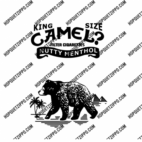 Hinh Khắc Camel Gấu Một Mặt