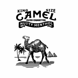 hình khắc camel lạc đà một mặt