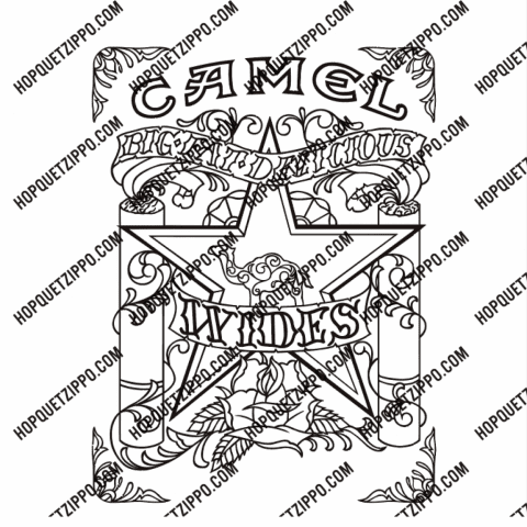 HINH KHẮC CAMEL NGÔI SAO MỘT MẶT  WIDES