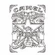 HINH KHẮC CAMEL NGÔI SAO MỘT MẶT  WIDES